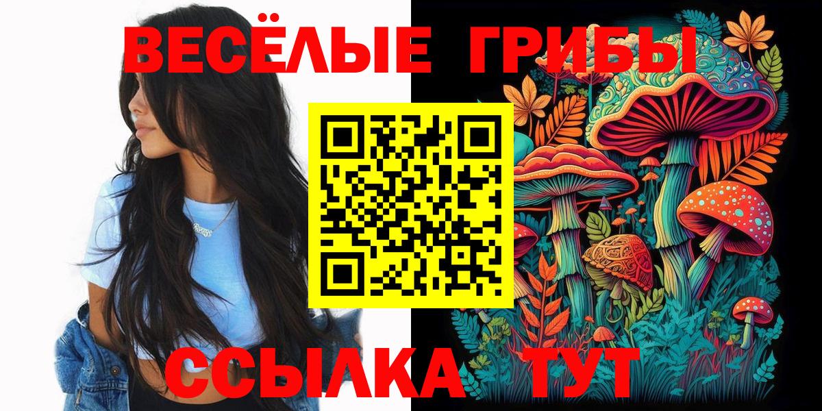 Псилоцибиновые грибы прущие грибы  Вход с VPN  Галлюциногенные грибы прущие грибы  Кохма 