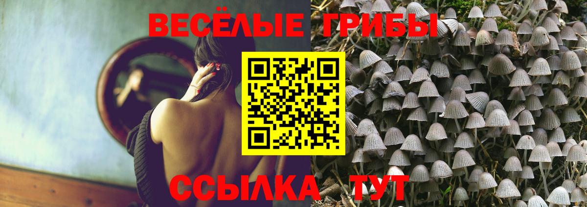 Галлюциногенные грибы Magic Shrooms Кохма