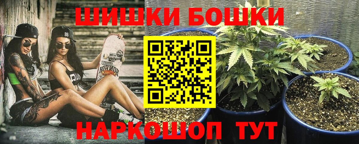 Бошки Шишки индика Кохма